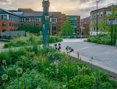 Green Spaces in the city centre of Sheffield
